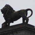 monlouis | de leeuw van Waterloo | 0
